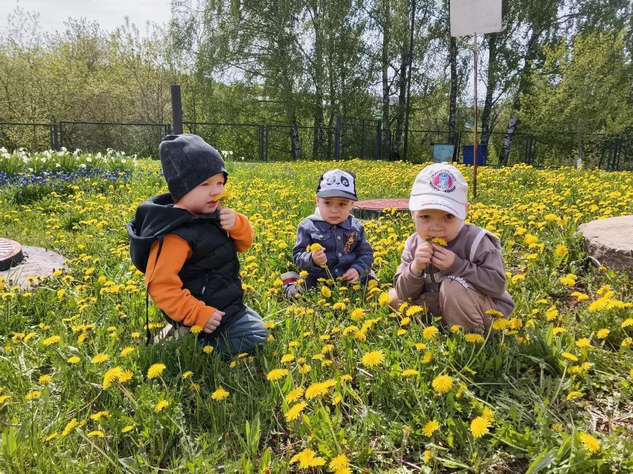💫Сегодня, 13 мая, в нашем детском саду прошёл настоящий цветочный праздник — День одув...