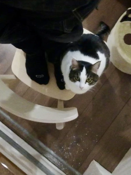 Ору 🤣   Мастер, который устанавливал нам мебель крупную и мелкую 5 лет назад, прислал сегодня фото: 