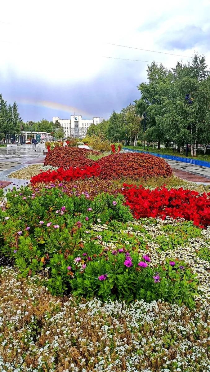 Сочные краски в кадрах, где летний румянец еще не угас 🥰