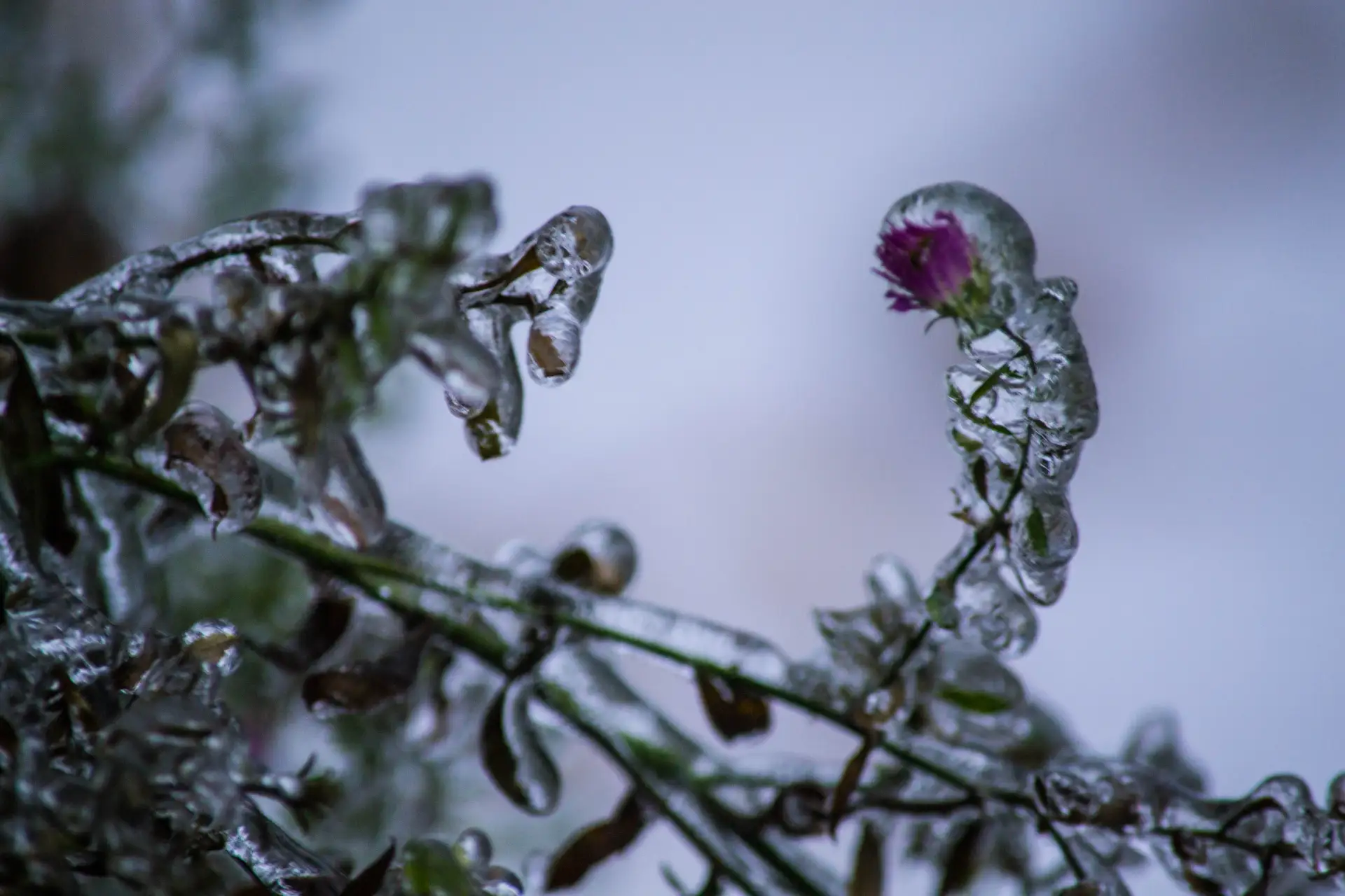 Фотопробег 📸   Марафон голосования. День третий❄️  Голоса засчитываются только от подписанных на наш