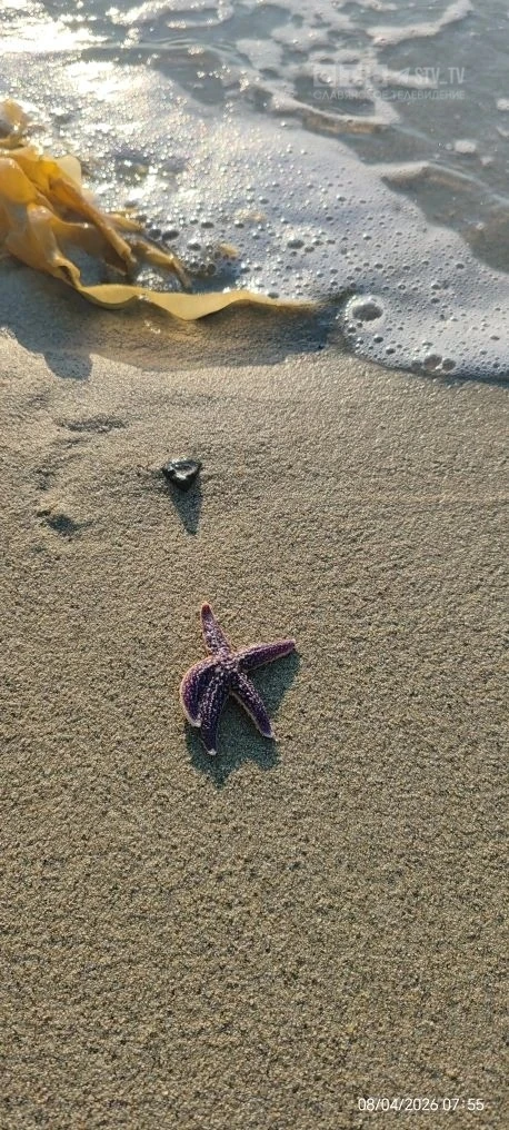 ✨🌞Доброе утро, друзья!   🌊Апрельское море врывается в нашу ленту.  Шум прибоя, звуки весны, утренний