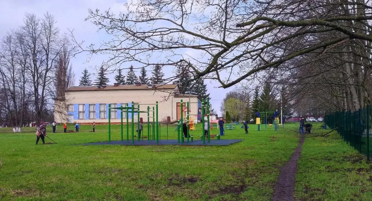 🍃 Всероссийский субботник!