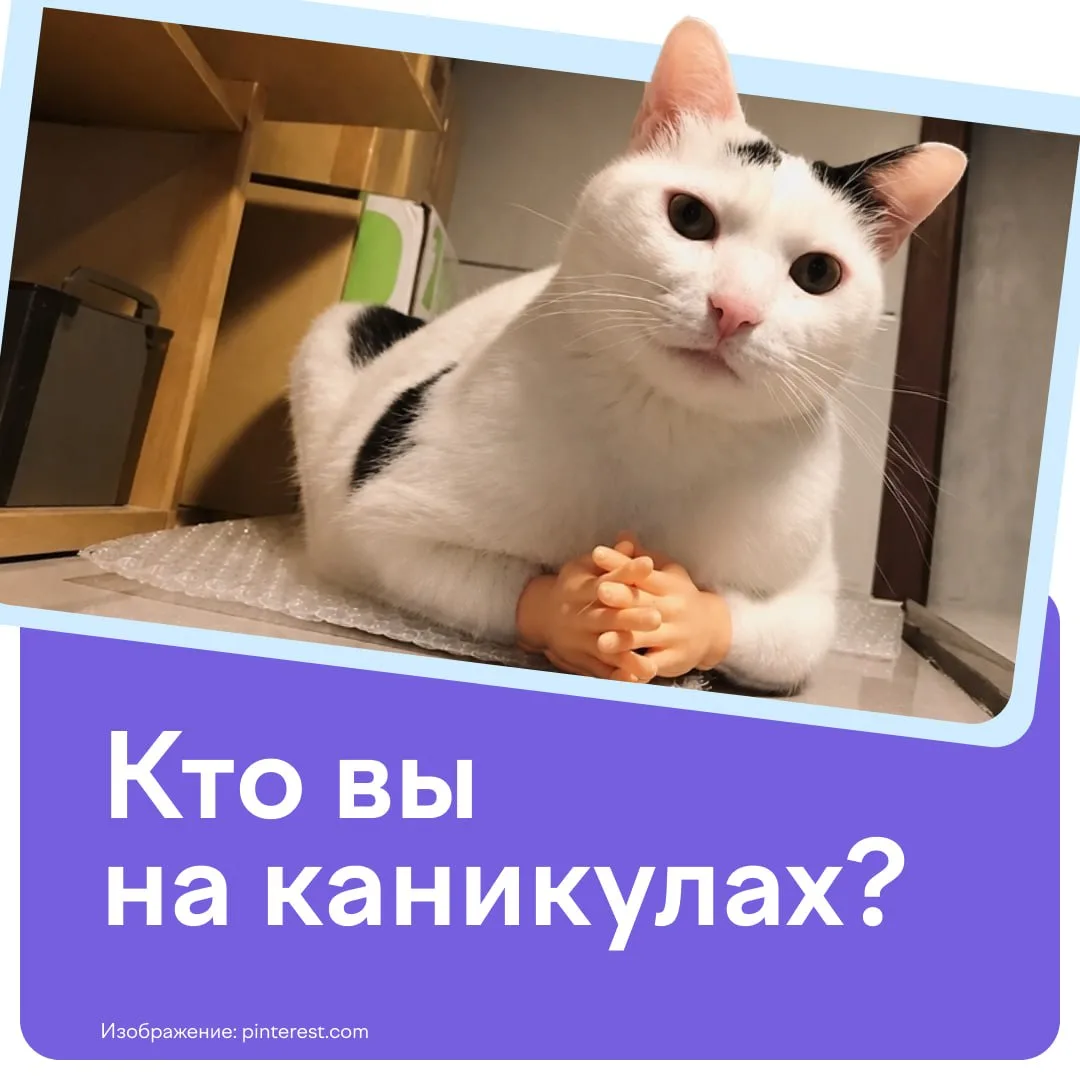 📝 Узнаете себя?