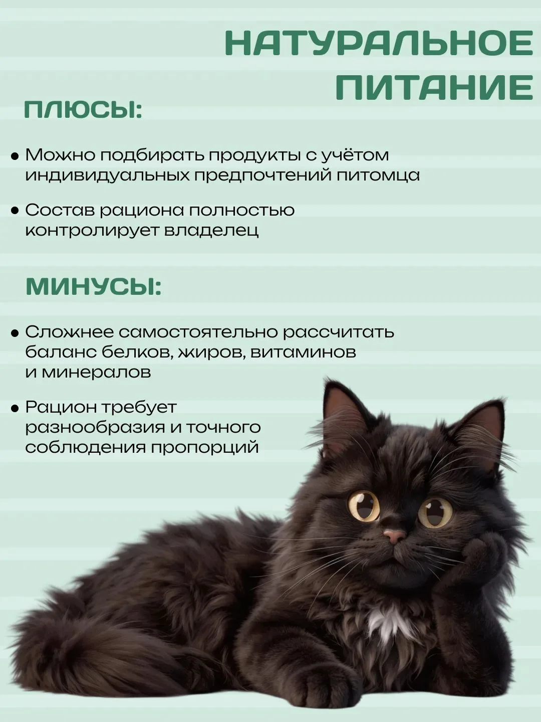 Натуральное питание или готовый корм — что лучше для питомца?