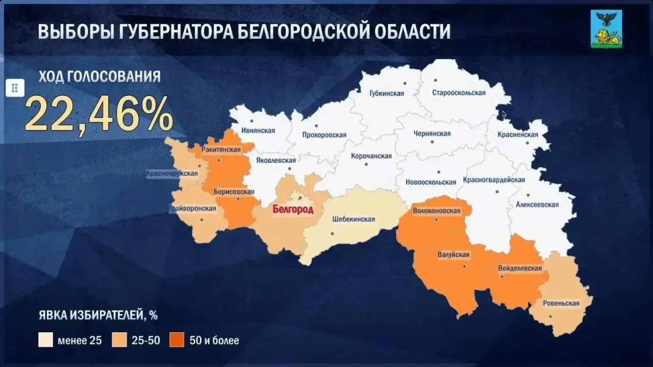 Явка на выборах губернатора Белгородской области к 14:00 превысила 22 процента. Такие д...