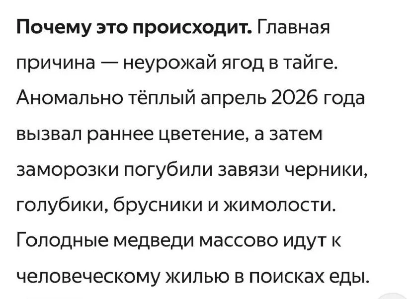 Голодные косолапые сильно активизировались в этом году🐻
