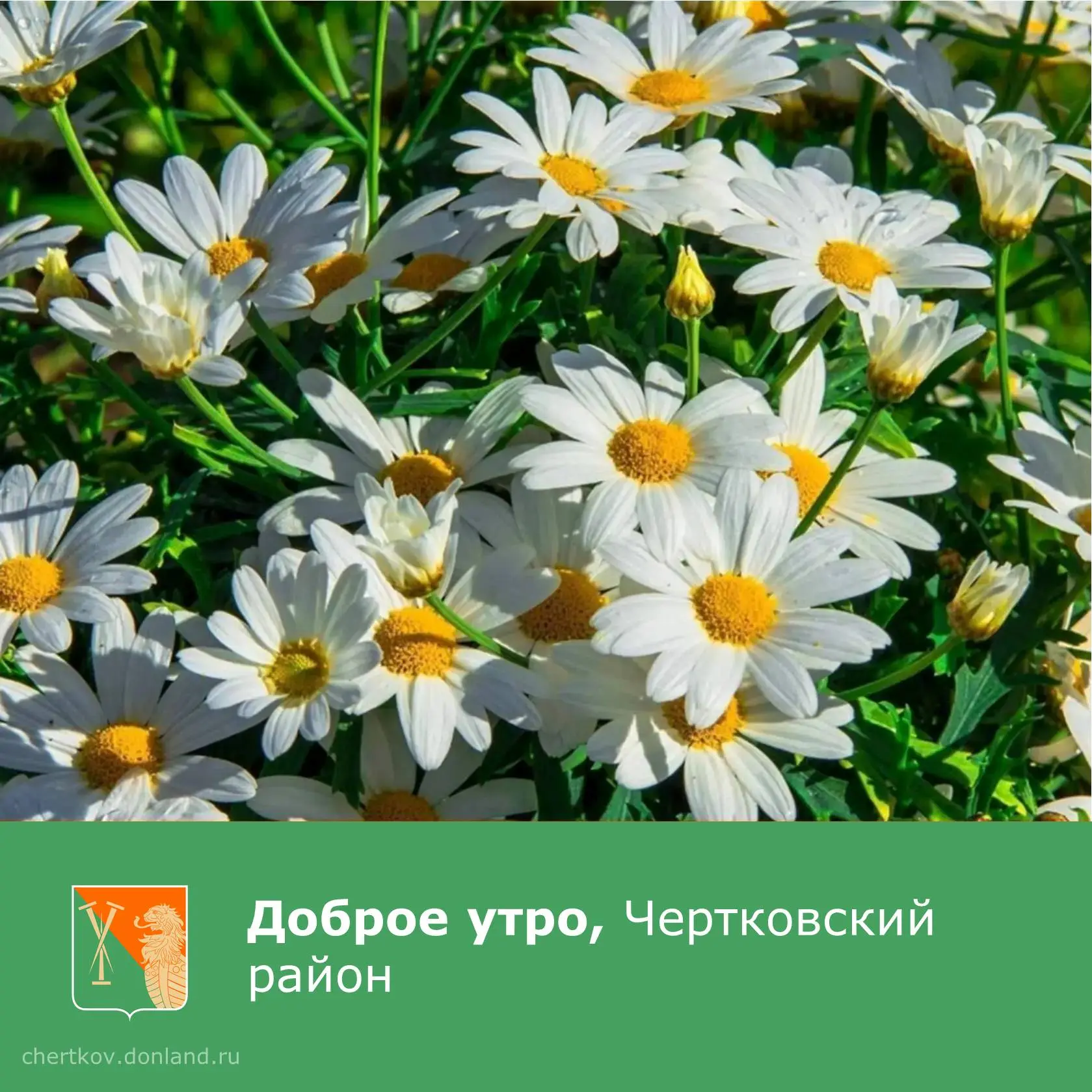 Желаем вам доброго утра! Получайте яркие эмоции, делите их с родными и близкими!