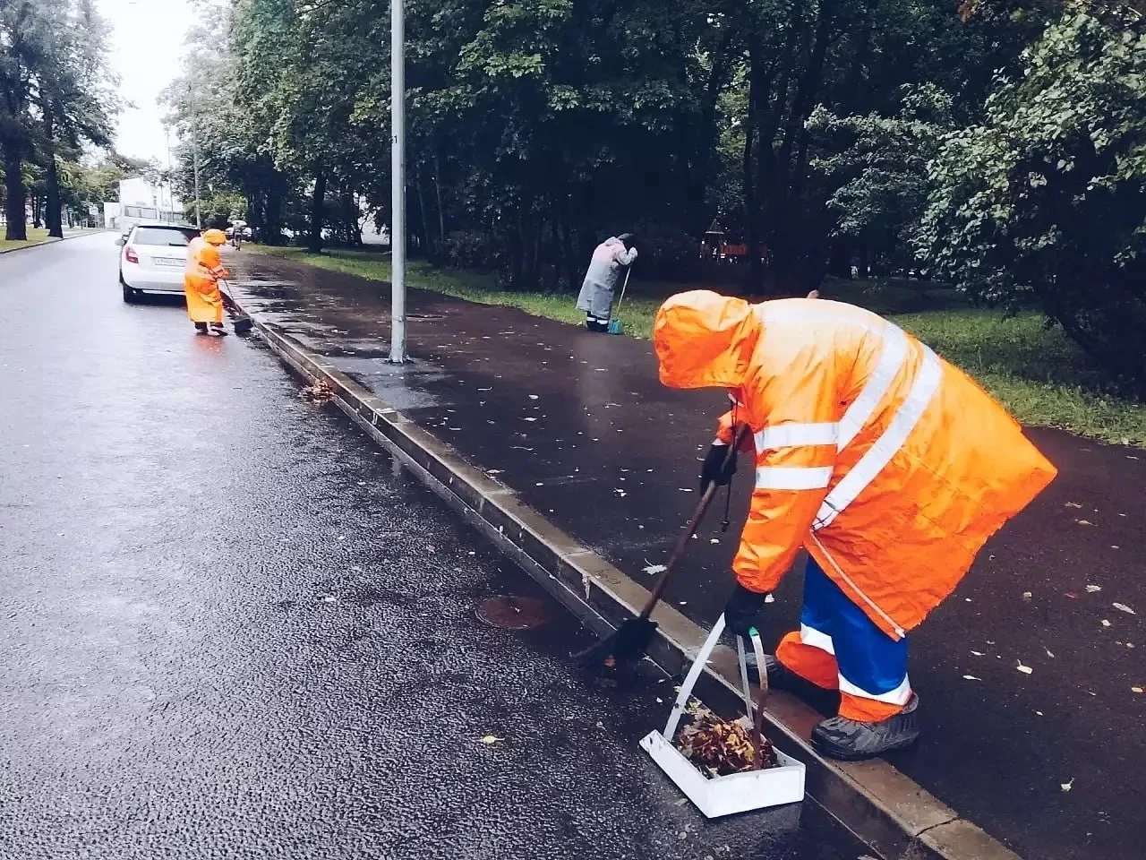 🍂 Коммунальщики Выборгского района перешли на осенний режим