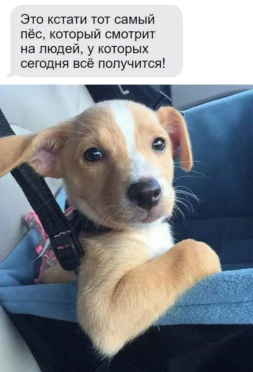💬 У тебя новое сообщение!