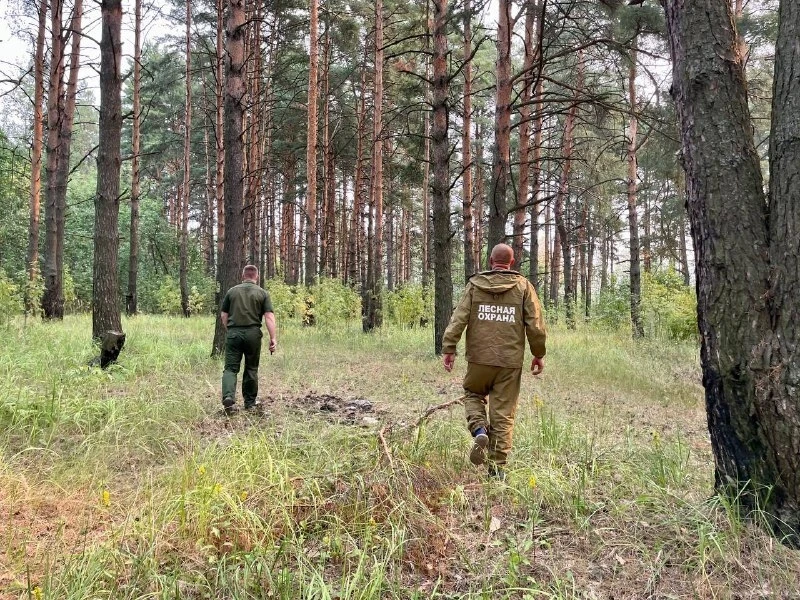 В Костромской области прогнозируется высокий класс пожарной опасности