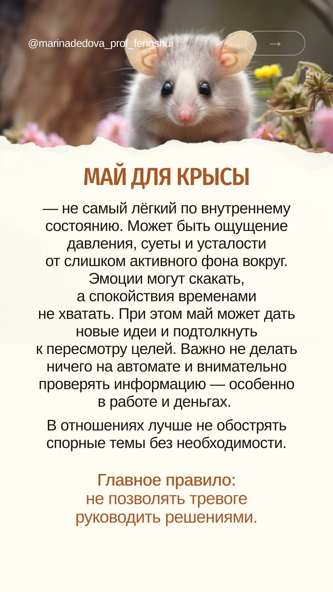 Крыса, Бык, Тигр, Кролик или Дракон в карте рождения — год, месяц, день или час? Листайте до своего 