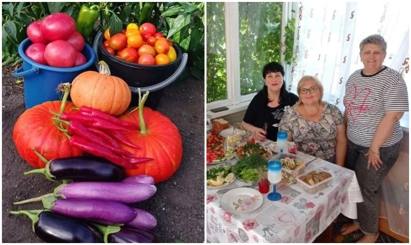 🍅 Рассаду сразу в теплицу и никакой химии: как благовещенка выращивает на даче советские сахарные по