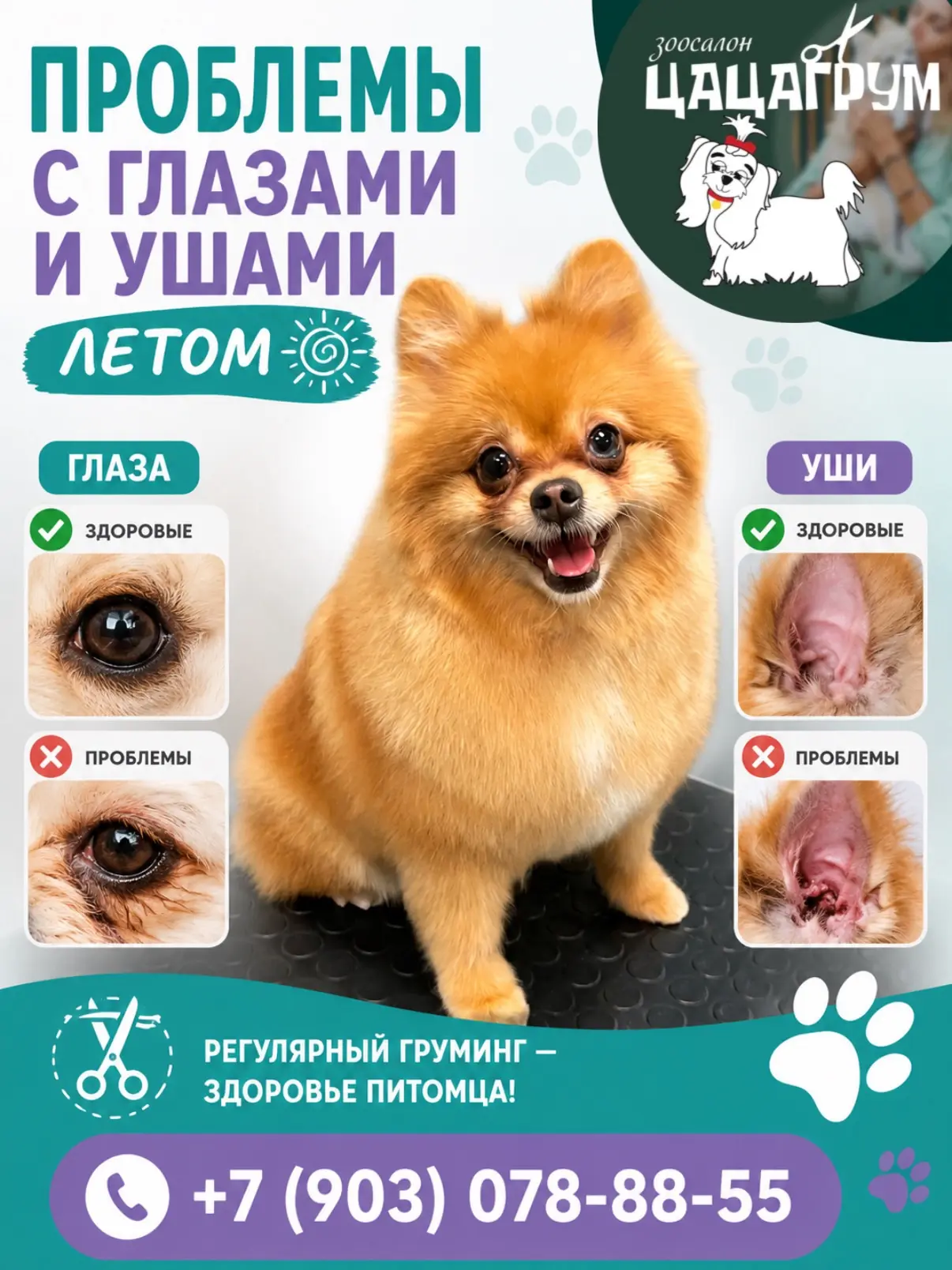 👀👂 Лето — время прогулок, пыли, травы и купаний. Но знаете ли вы, что именно летом у ...