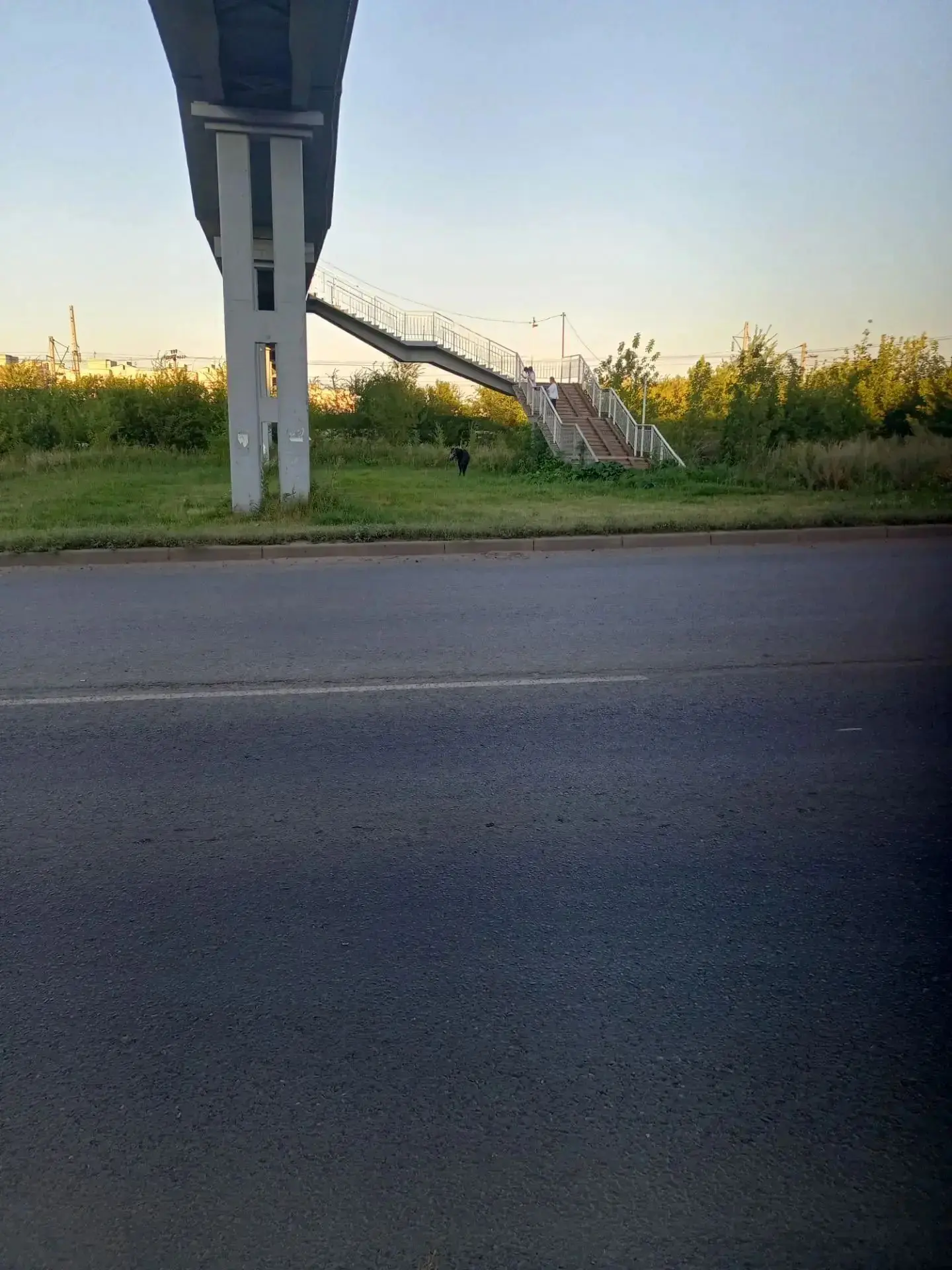 В районе образцовской и села образцово гуляет  лошадь! Может выйти на дорогу, аккуратне...