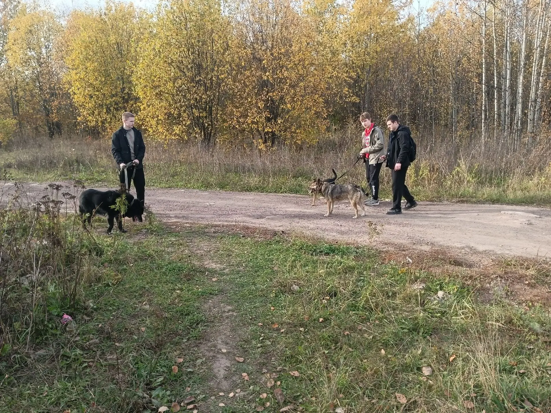 Сегодня волонтеры нашей школы побывали в приюте для бездомных животных. Купили вкусняше...