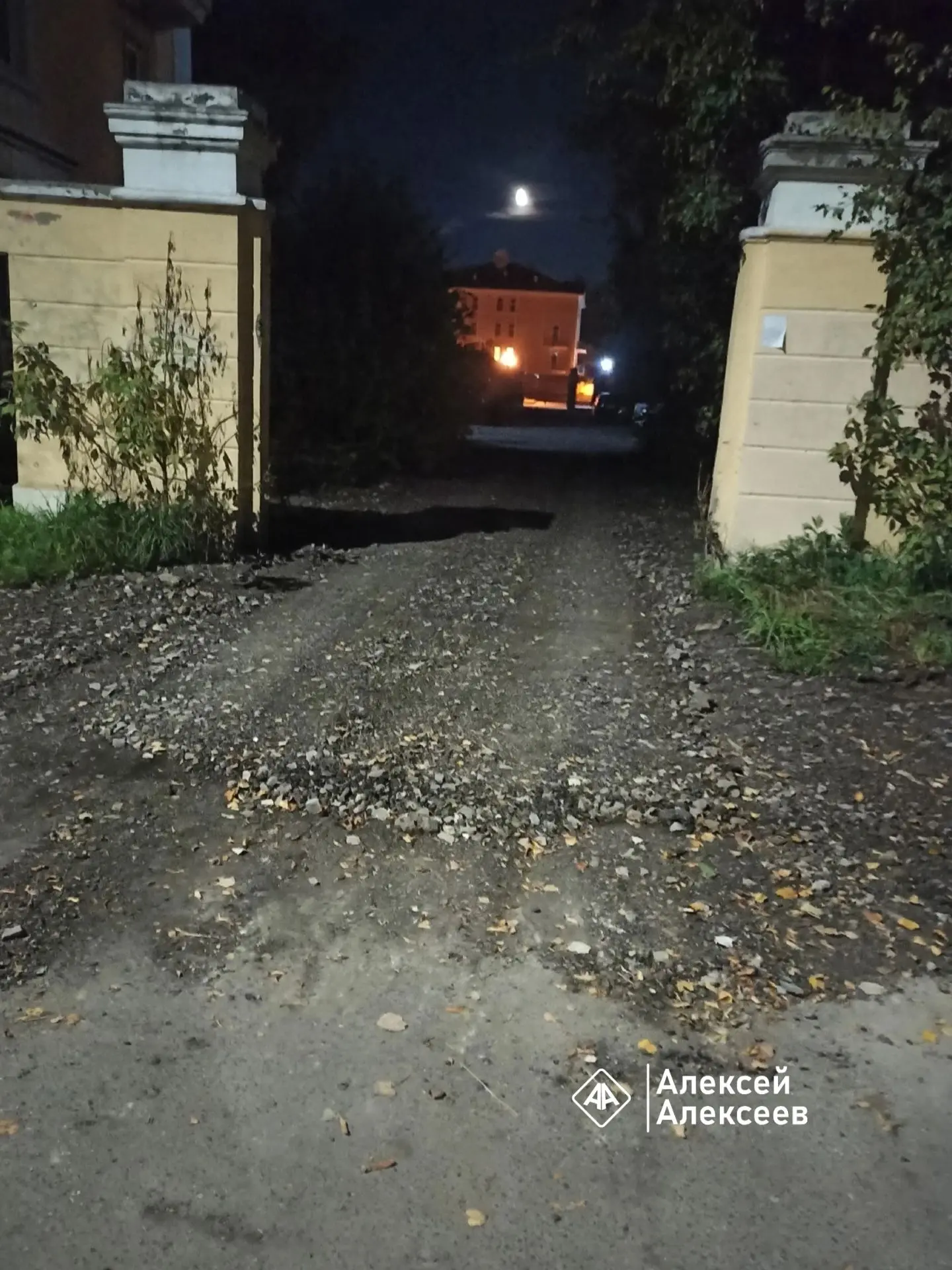 Сделали вид