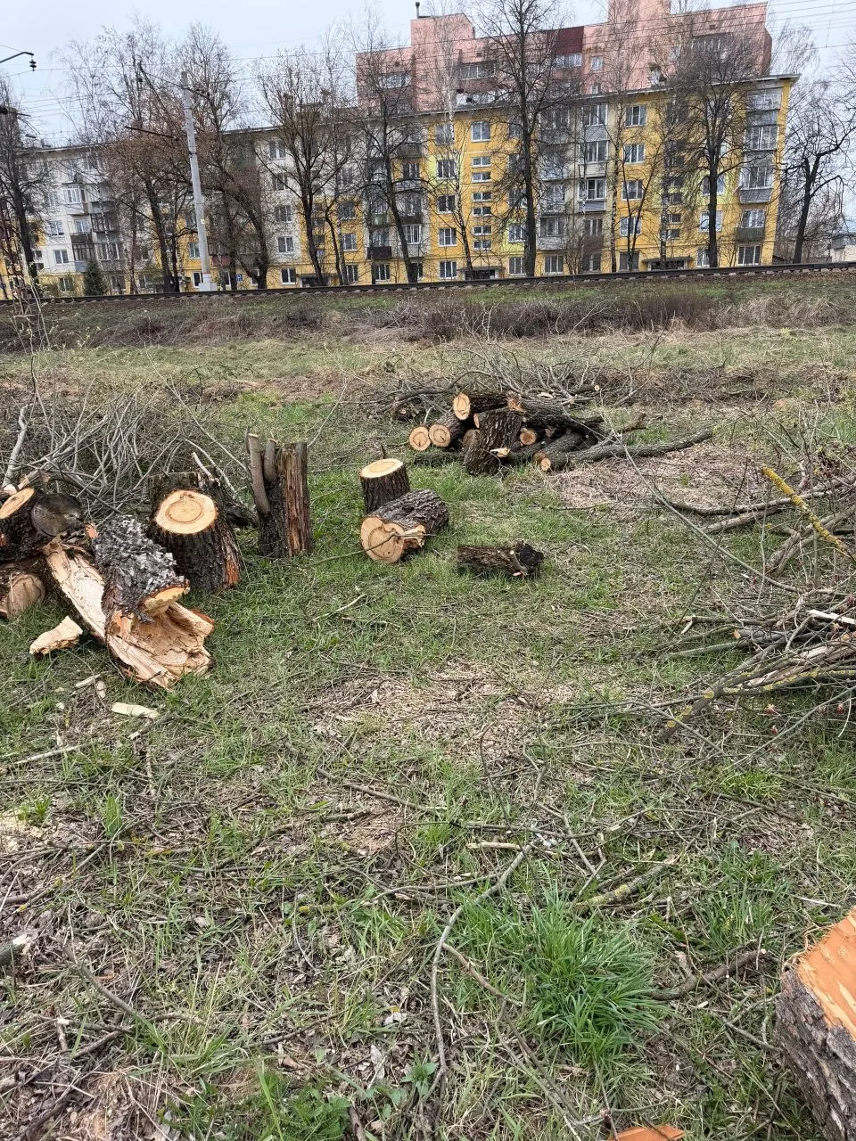 Всем добрый день! Если кому-то нужны бревна, то милости просим в СНТ «Московский садовод», 1-ая Лини