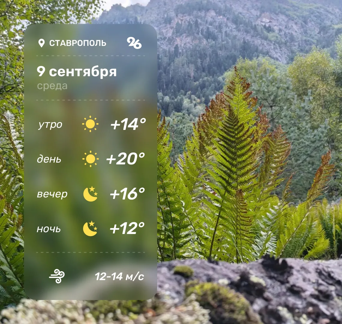 ☀️ Доброе утро! Сегодня погода обещает быть солнечной