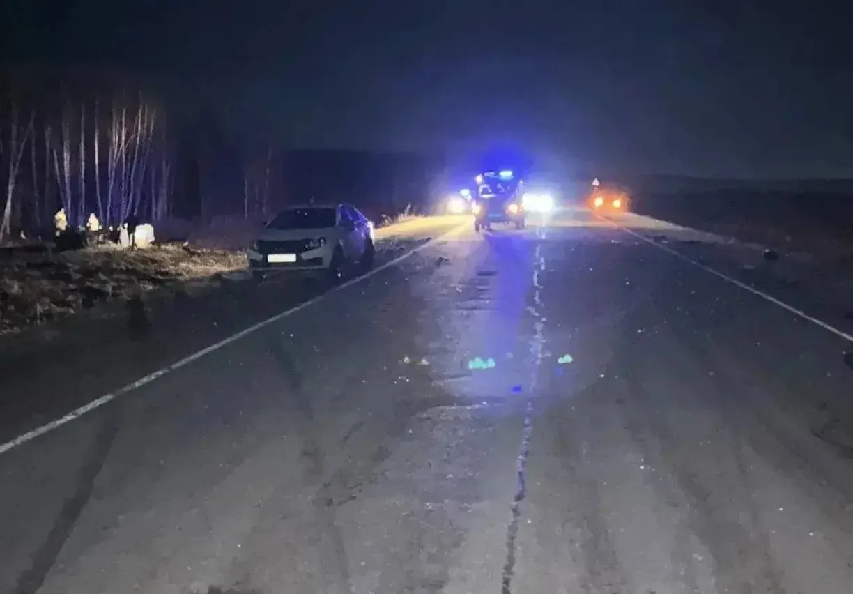 😱 Трое погибли в ДТП с лошадью под Шарыпово  На 17-м километре дороги Шарыпово — Ужур — Балахта 19-л