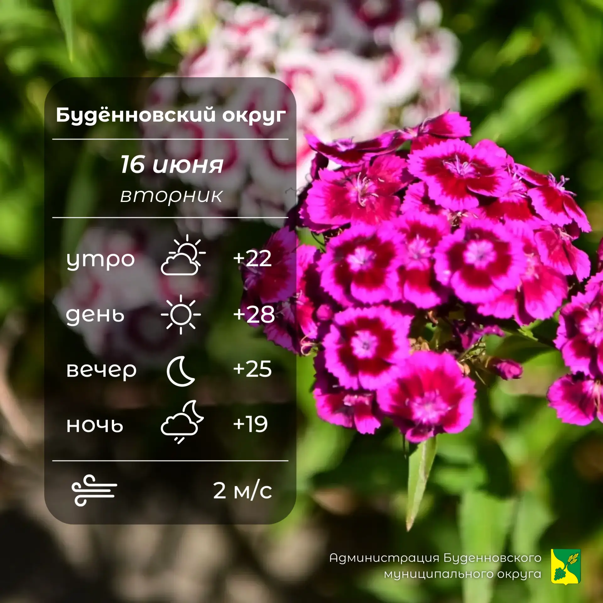 ⛅Сегодня в Буденновском округе переменная облачность, ночью возможен слабый дождь. Температура возду