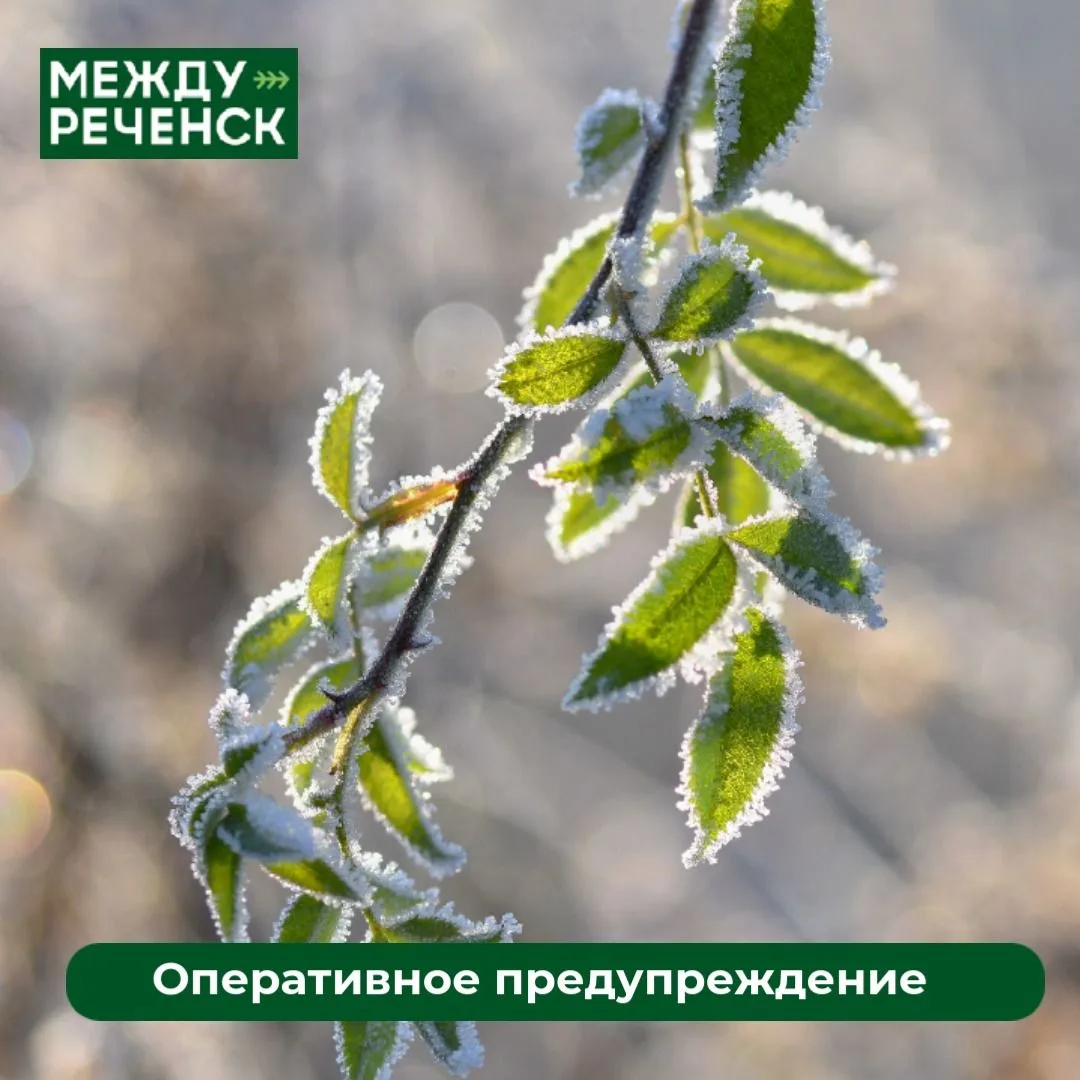 ❗️Оперативное предупреждение.