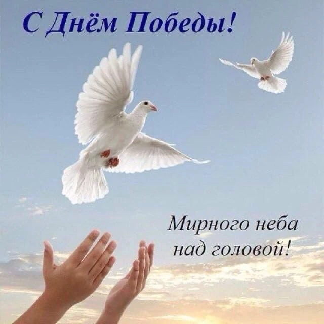 🕊️Дорогие подписчики, поздравляем