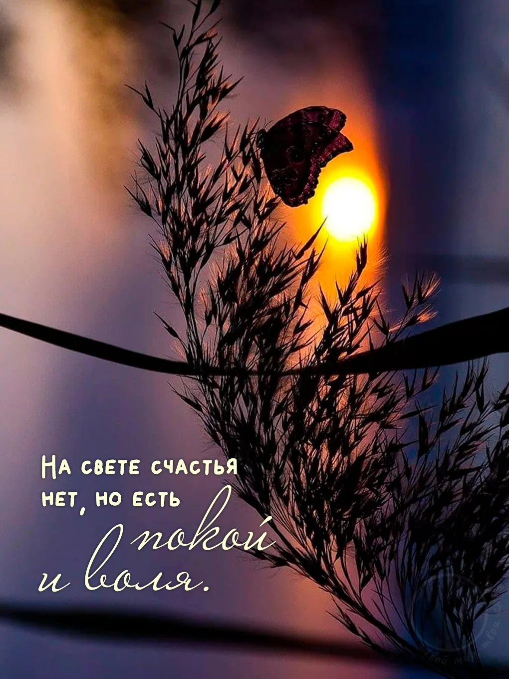 Говорят, счастье любит тишину. И классики русской литературы понимали это как никто другой.  Наши ве