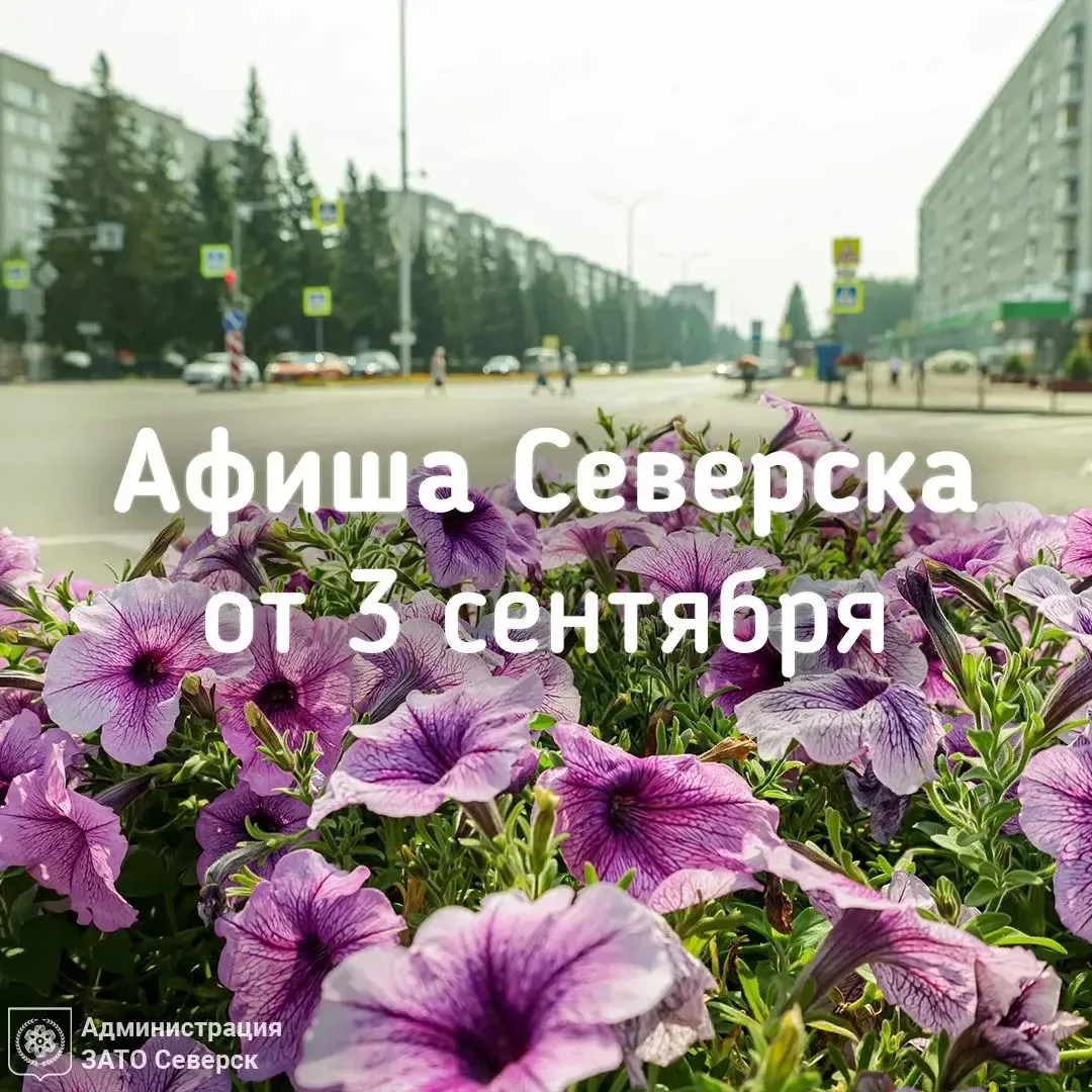 #СеверскАфиша
