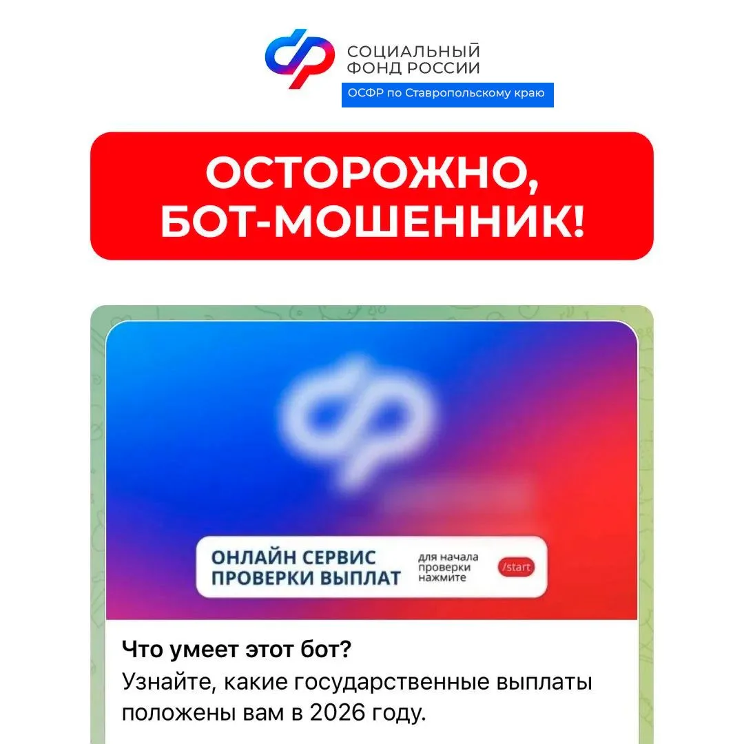 Отделение СФР по Ставропольскому краю предупреждает: мошенники используют телеграм-бот,...