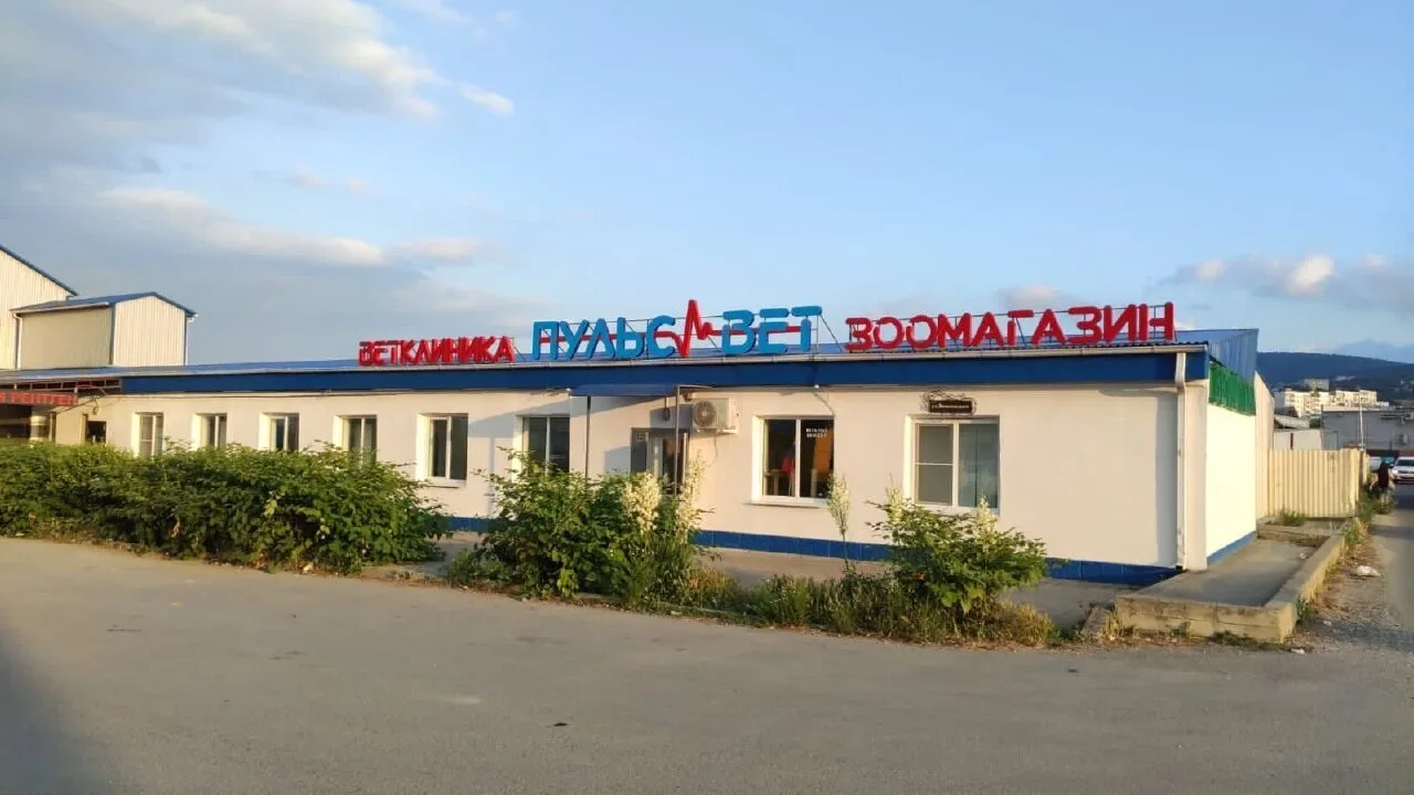 Жительница Новороссийска заплатит за критику в 2ГИС