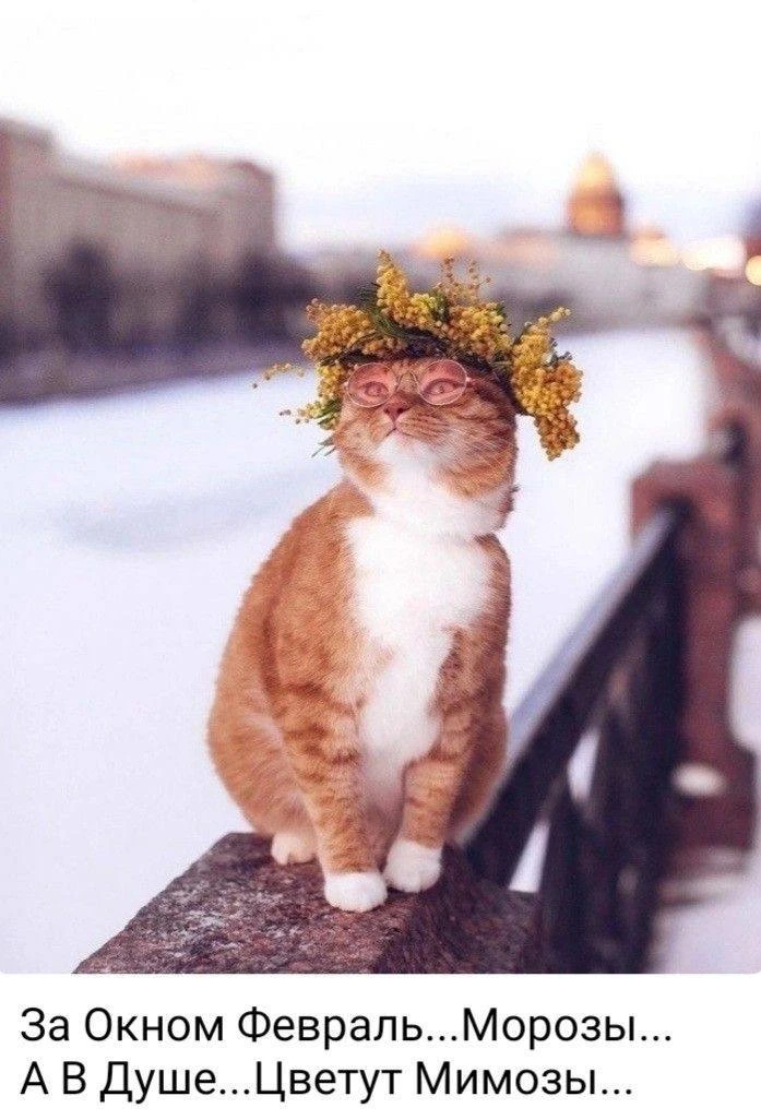 Почти половина февраля прошла, а это значит, что совсем скоро…  💐ВЕСНА🌷🌷☀️ Прекрасное время года, ко
