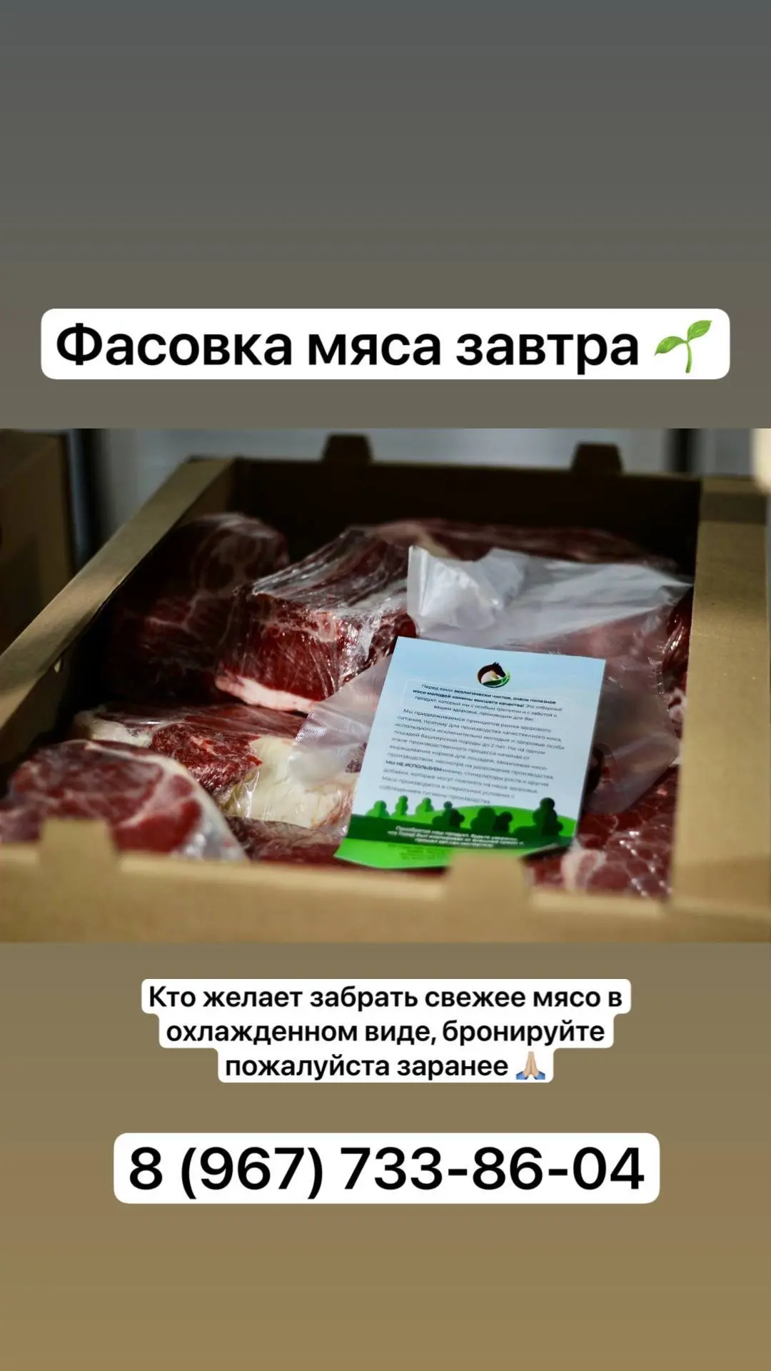 Принимаем заявки на свежую партию молодой конины. 🥩 
Экологически чистое мясо от производителя.Халя
