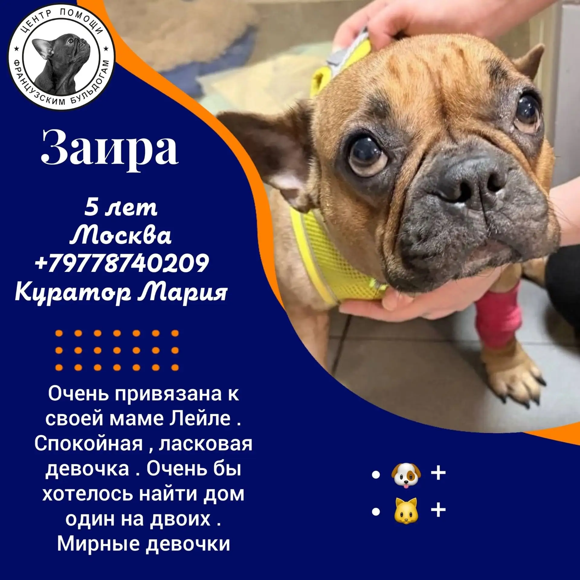 Скованные одной цепью,
Связанные одной целью....

Неразлучники , невозможно разделить , невозможно р