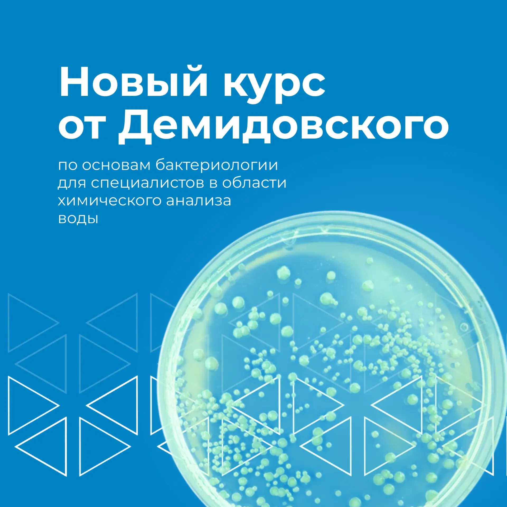 Демидовский университет запускает курс «Основы бактериологии для специалистов в области химического 