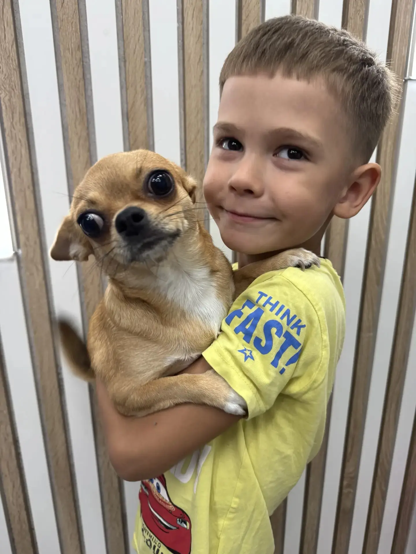 🐩"Праздник любви и хвостиков" 🦮международный день собак.