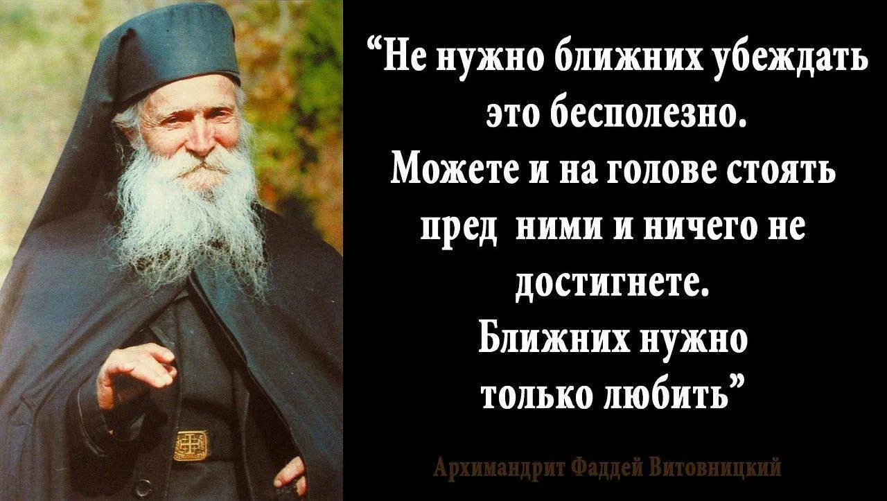 🍃🩶🍃🩶🍃🩶🍃🩶🍃🩶🍃