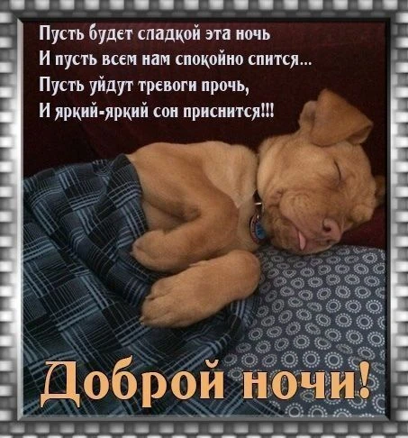 🥰 Оставляйте реакции, если понравилась открытка и делитесь с близкими ❤️

💌 Лучшие Открытки и позд