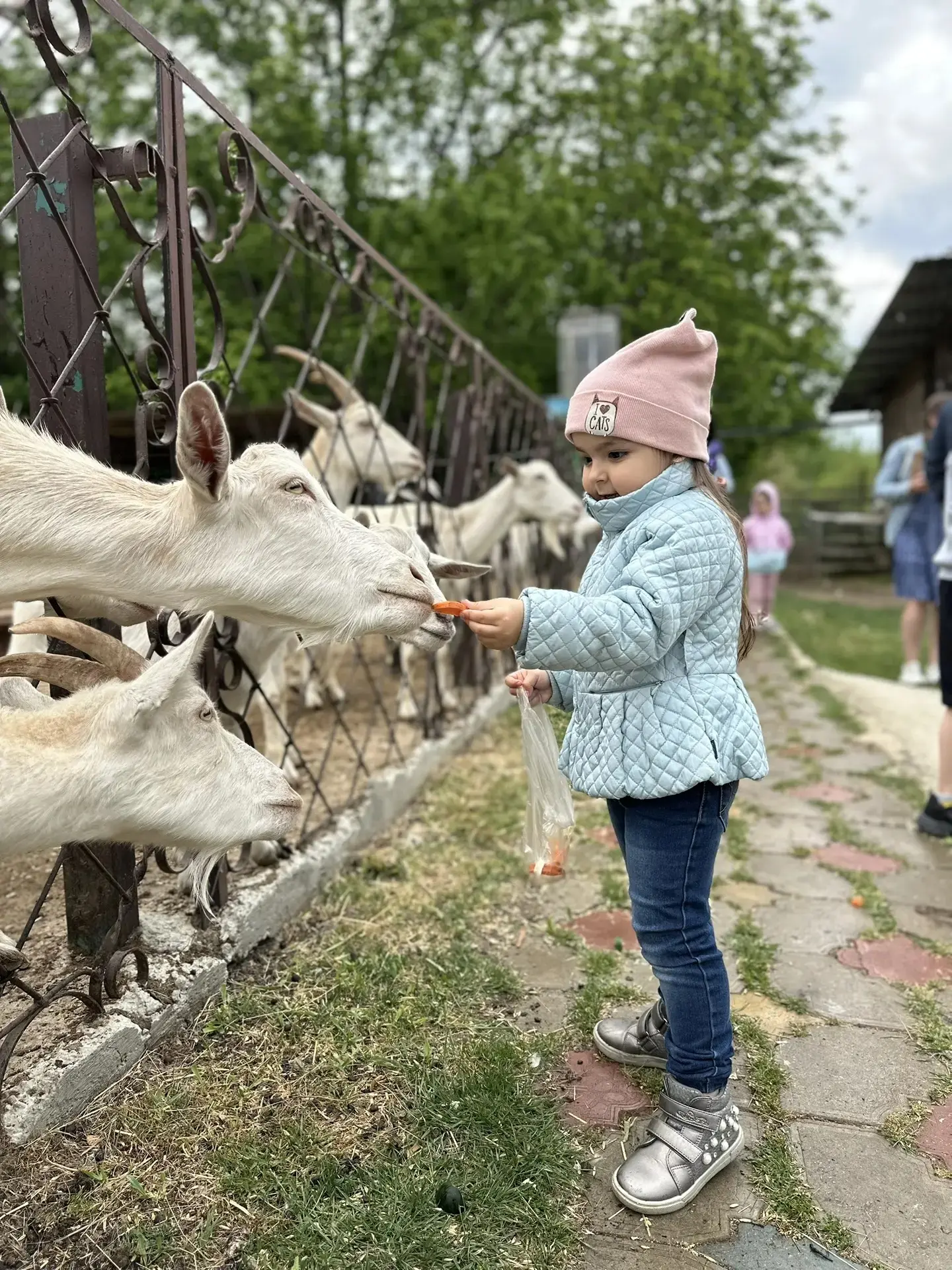 Выходные с пользой всей семьёй, в экологической деревне  "Божья коровка"- это эффективн...