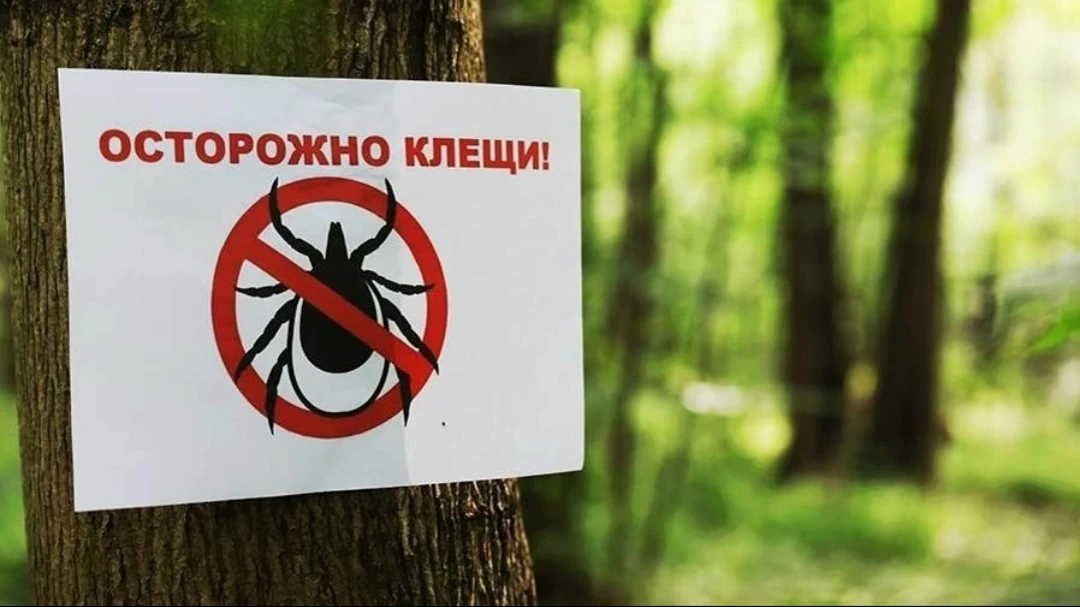 ⚠ Сезона активности клещей в самом разгаре❗