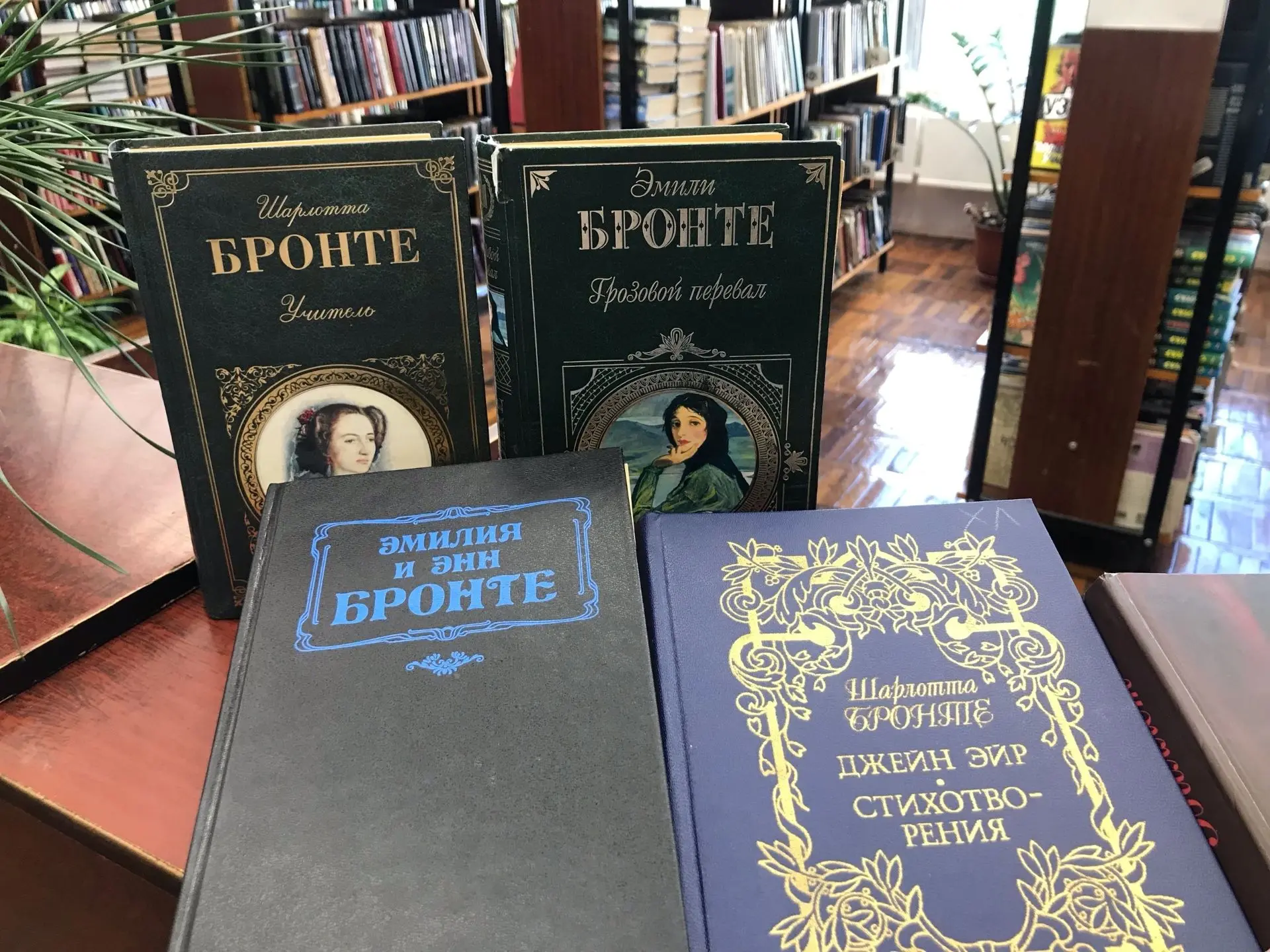 В Карабулакской городской библиотеке прошла книжная выставка «Очарование сентиментально...