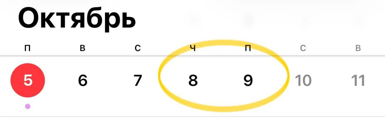 Что вы узнаете из лекций «Акции в рублях и в долларах»?