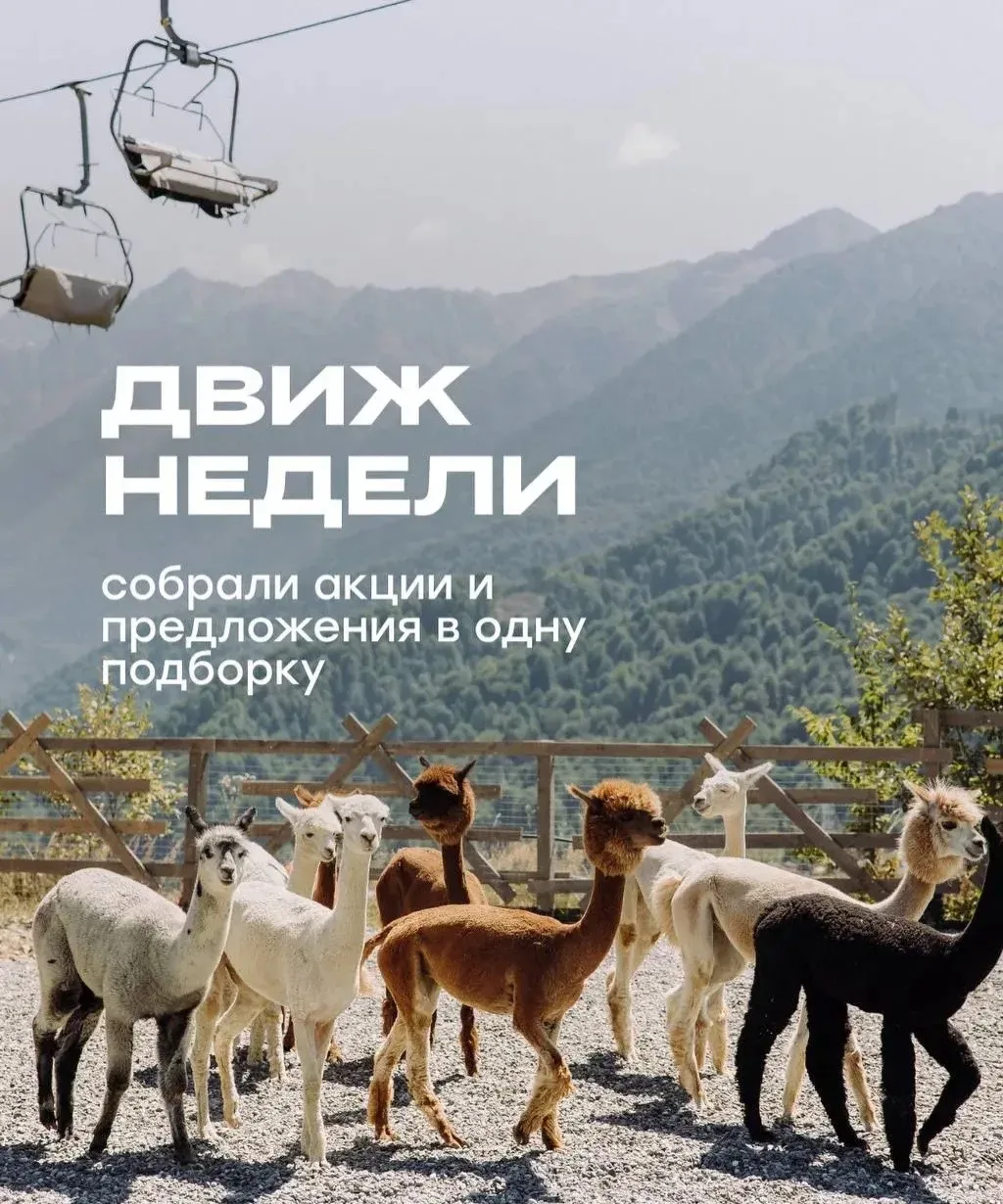 📂Прогулочный билет