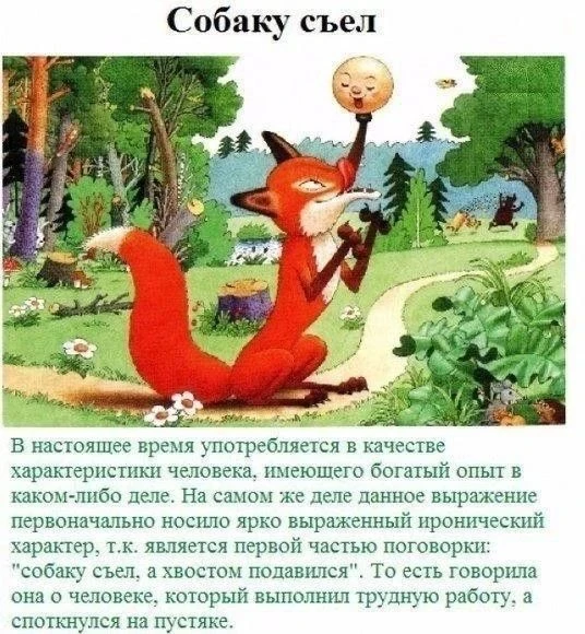 История и значение пословиц