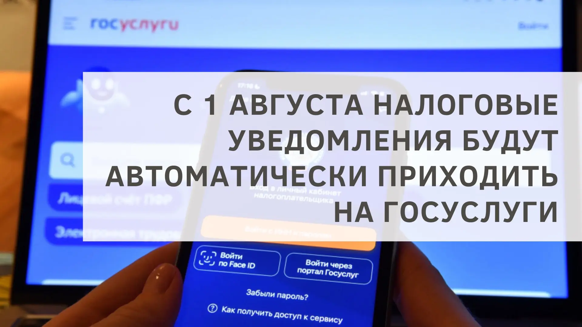 С 1 августа налоговые уведомления будут автоматически приходить на Госуслуги
