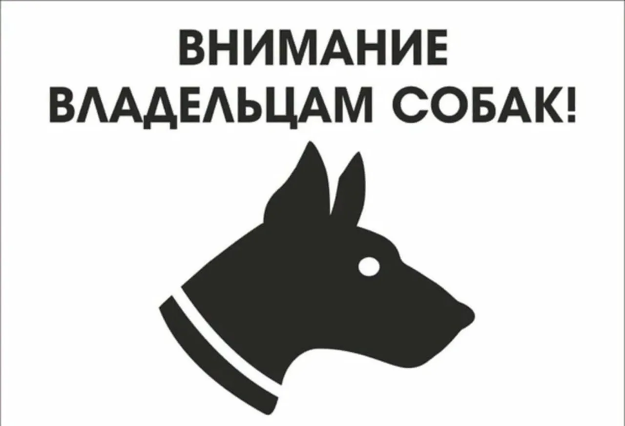 Уважаемые жители Челно-Вершинского района!