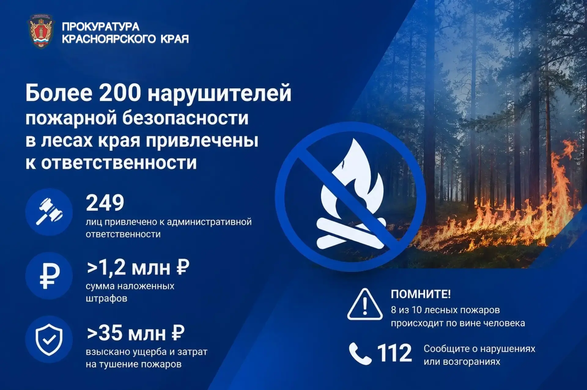 🔥 Лес не прощает беспечности: с начала сезона к ответственности привлечены уже 249 нарушителей

Пок