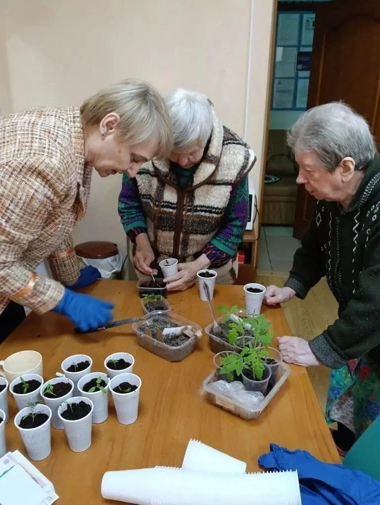 ✨Забота о будущем урожае ⁣ 🏡🌱Проживающие Холмовского дома-интерната для престарелых и инвалидов успе