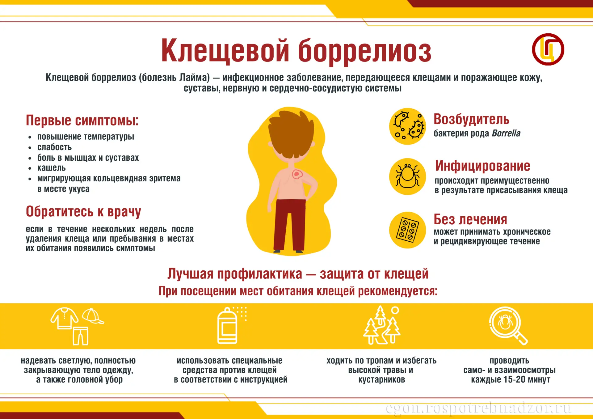 Профилактика инфекций, передающихся при укусах клещей  В зимне-весенний период 2025–2026 годов наблю
