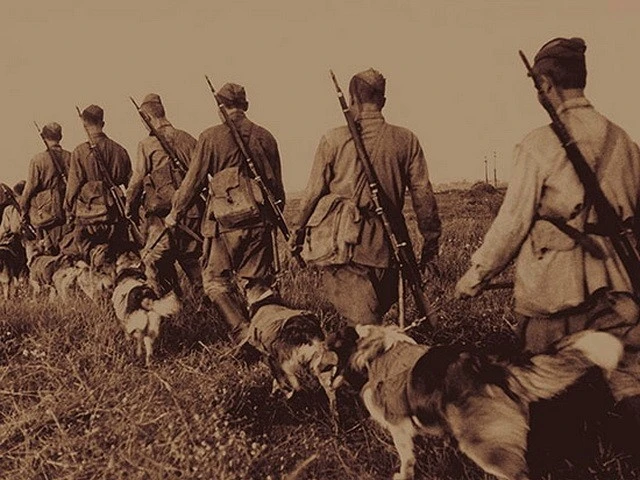 85 лет подвигу у села Легедзино: как 150 собак пошли в рукопашную с фашистами 
 
30 июля 1941 года у
