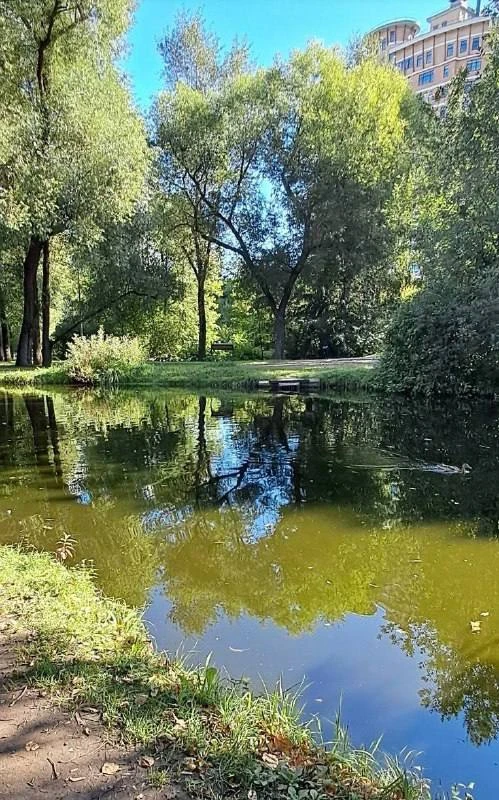 Сегодня нас пригревает все еще летнее солнышко ☀